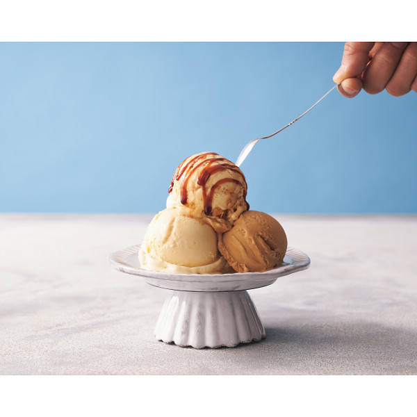 ザ・スウィーツ　北海道生クリームのたっぷりキャラメルアイスクリーム（１１個）【24-1005-19】