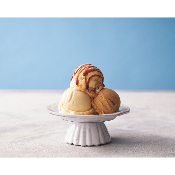 ザ・スウィーツ　北海道生クリームのたっぷりキャラメルアイスクリーム（１１個）【25-1001-520】