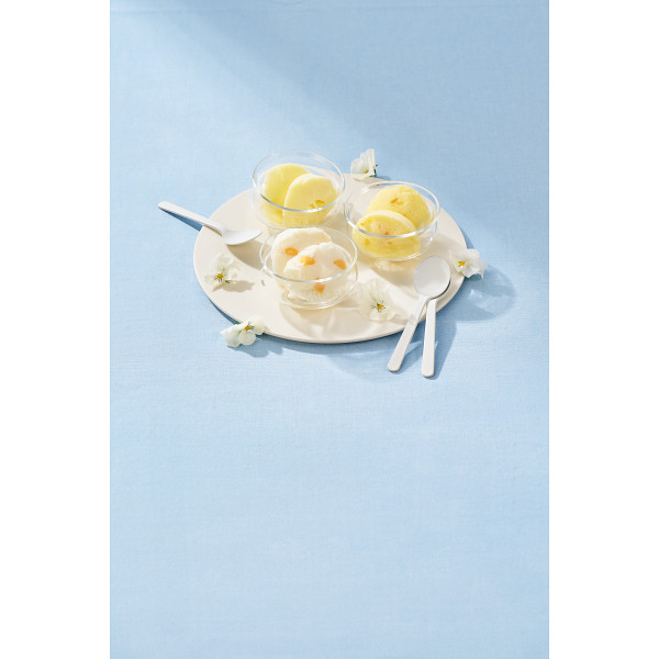 ザ・スウィーツ　日本の柑橘シャーベット（９個）【25-1001-539】