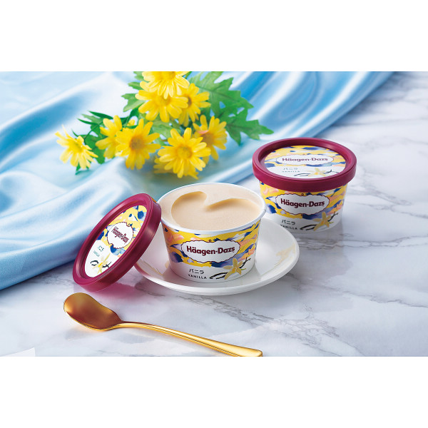 ハーゲンダッツ　シーズンセレクト【25-1008-526】