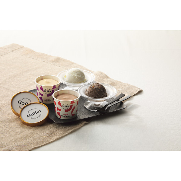 ガレープレミアムアイスクリームセット（８個）【25-1008-534】