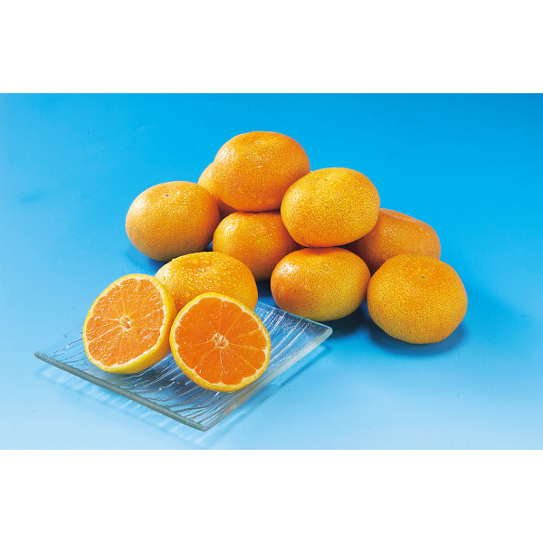 佐賀県産　ＪＡグループ佐賀　温室みかん（１kg）【25-1012-26】