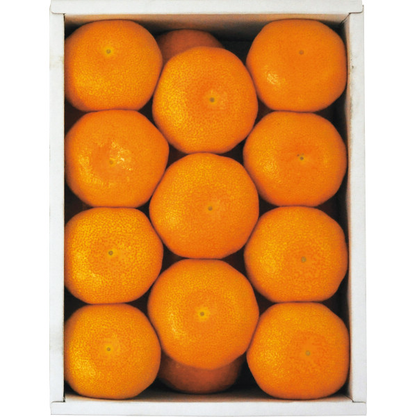 佐賀県産　ＪＡグループ佐賀　温室みかん（１．５kg）【25-1012-34】