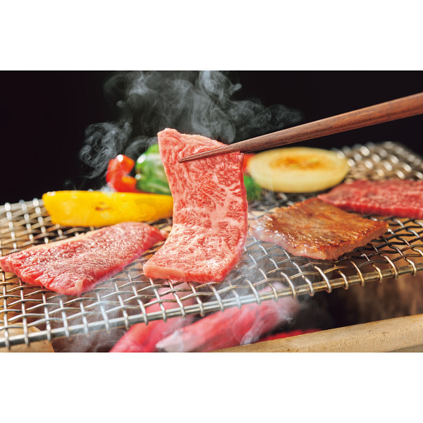 山形牛焼肉食べ比べ４種（計５００g）肉だれ_橋付【25-1034-11】