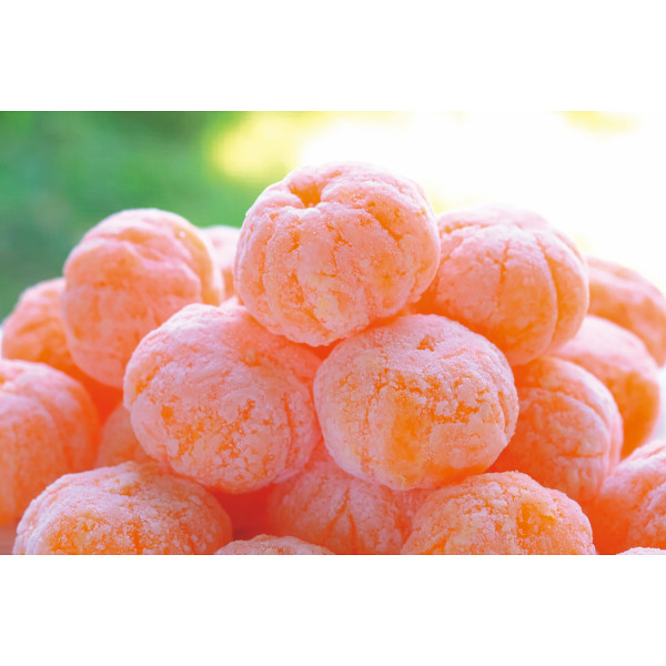 ミヤモトオレンジガーデン　冷凍みかん（皮なし）（１kg）【25-1205-38】
