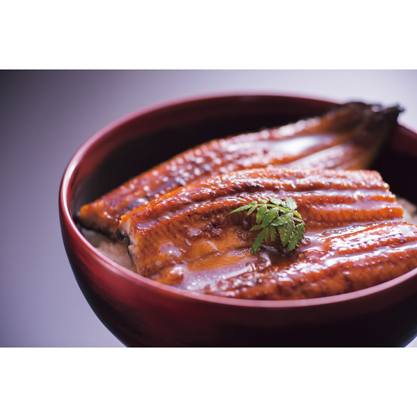 大森淡水　九州産うなぎ蒲焼切身（１０枚）【25-1229-69】