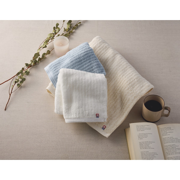 極ふわ　やさしいたおる　ベーシックライン　フェイスタオル２枚セット【26-7069-31】