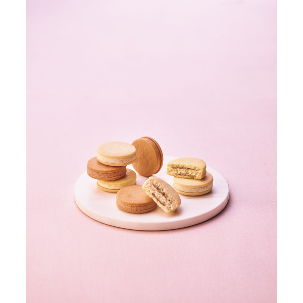 シャディ１００周年　リト＠葉っぱ切り絵×ザ・スウィーツ　ベイクドチョコサンド（６個）【26-7105-11】