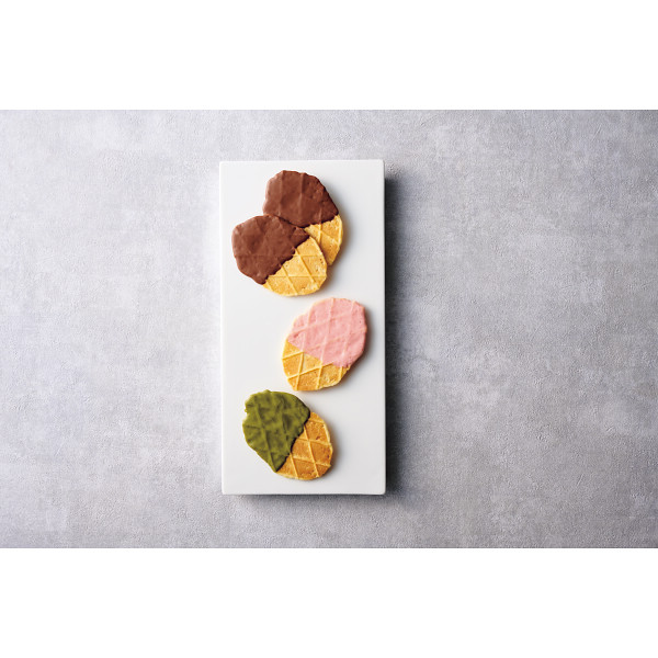 ｔｈｅ　ｓｗｅｅｔｓ　チョコワッフルクッキー（１５枚）【26-7109-17】