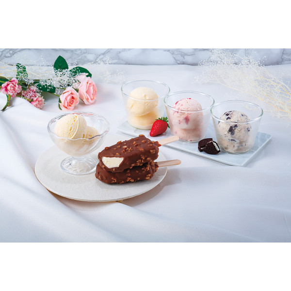 ハーゲンダッツ　スペシャルセット【26-7132-19】